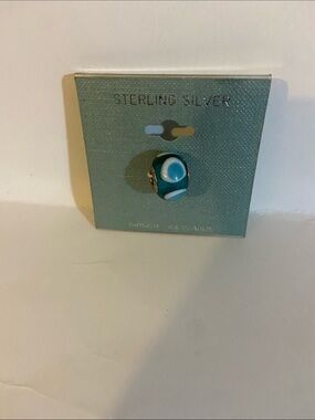Teal & White Glass Bead Charm